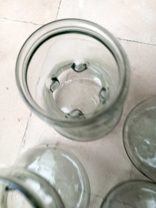 Frascos de Germinação Bolbos