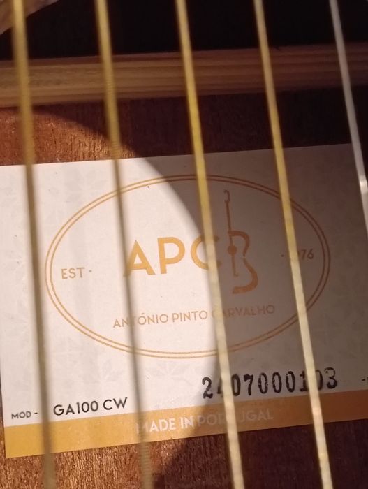 Guitarra     APC