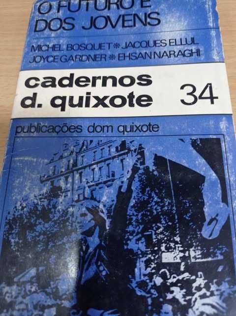Caderno D.QUIXOTE- Vários