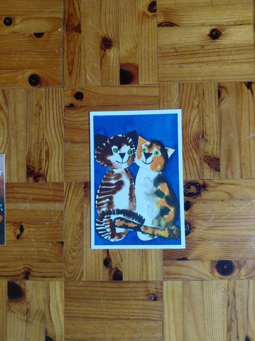 Postais de animais
