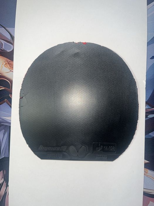 Dingnics 05 2.1 backhand