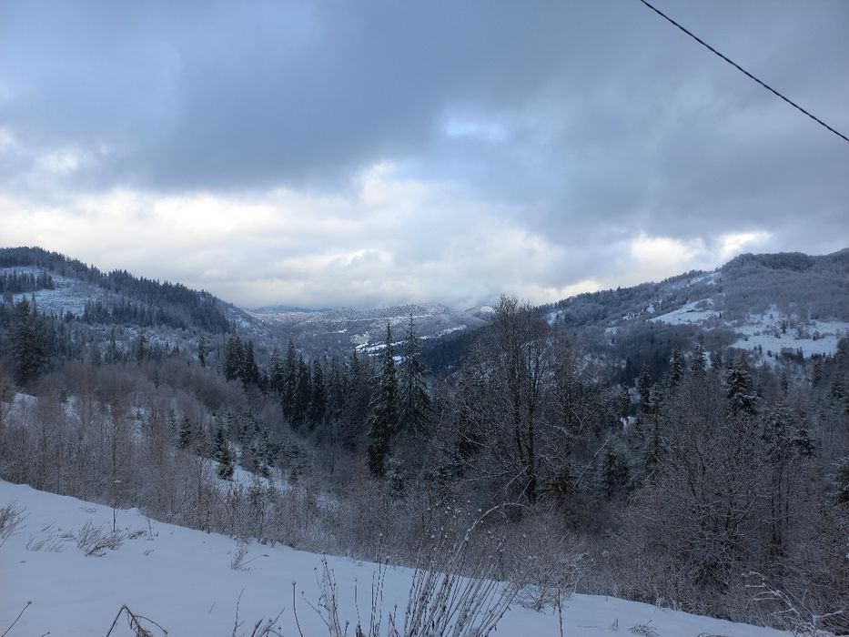 Продається земельна ділянка для ведення садівництва