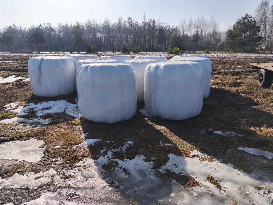 Sianokiszonka pierwszy pokos