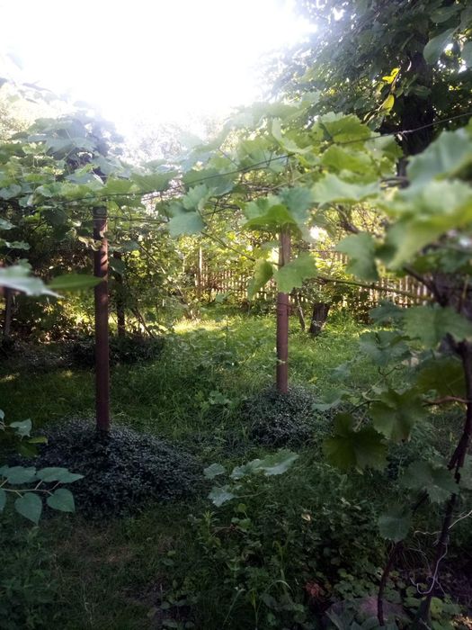 Будиночок в селі Хацьки 20 соток землі приватизованих