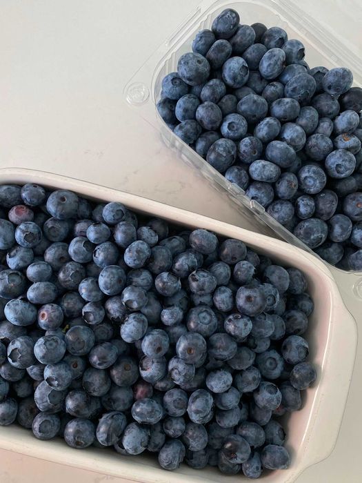 Mirtilos Frescos e Caseiros - Acabados de Apanhar (6€/kg)