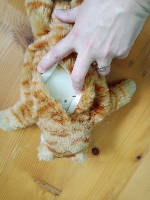 Котик інтерактивний, не робочий.