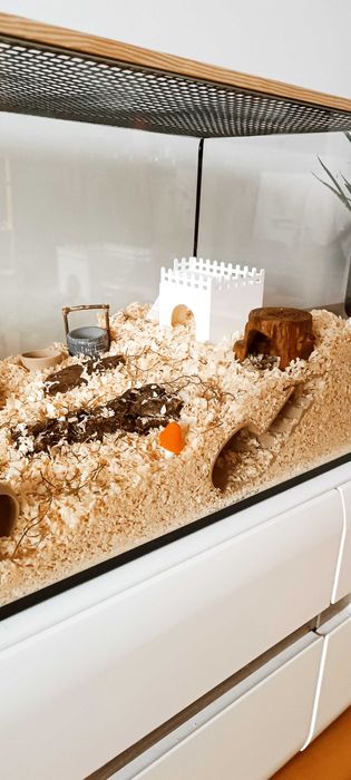 Klatka dla chomika – DUŻE akwarium 80×35×40 cm | naturalne | NOWE