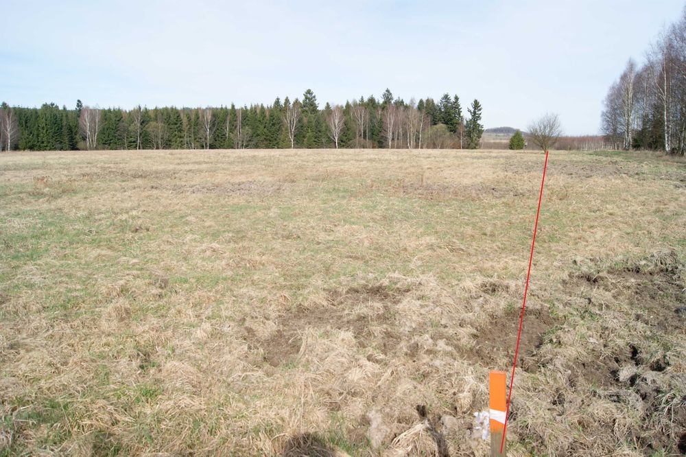 Działka 1,9 ha, z warunkami zabudowy Krzeszów - Widok 5