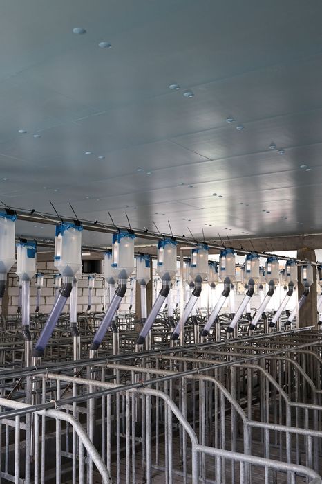Płyty Termoizolacyjne Dachowe Styrodur XPS AGRO Podsufitka Podbitka