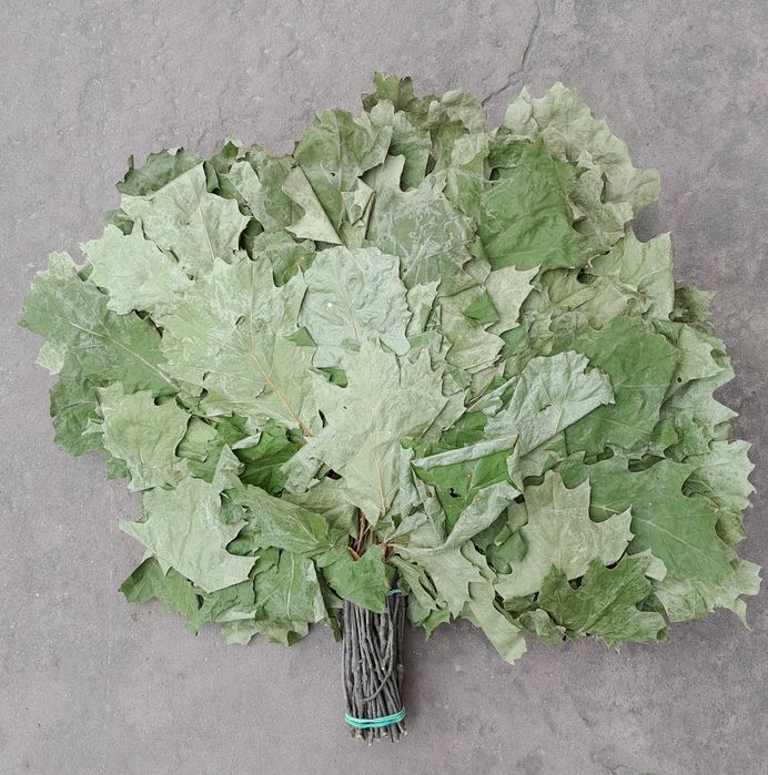 Банні віники. Канадський дуб депутатські. Одна подушка.Вищий сорт.