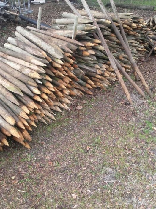 Paus usados para venda