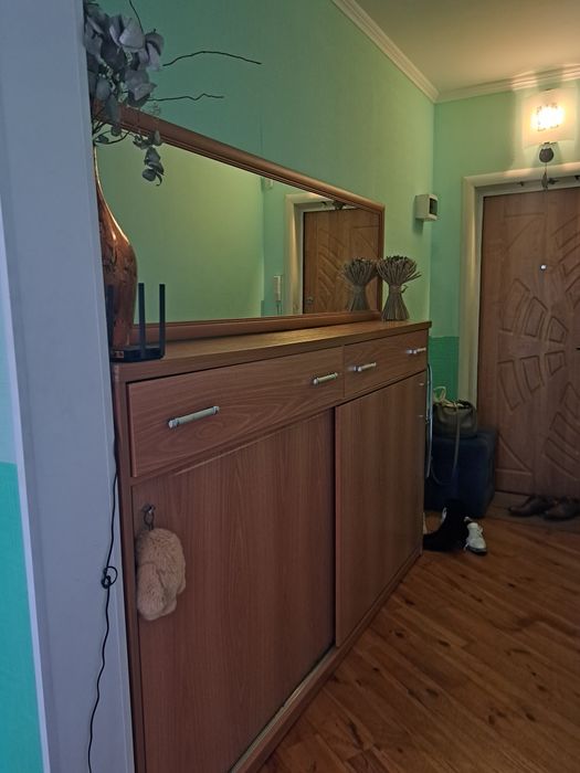 3х квартира  Народицька