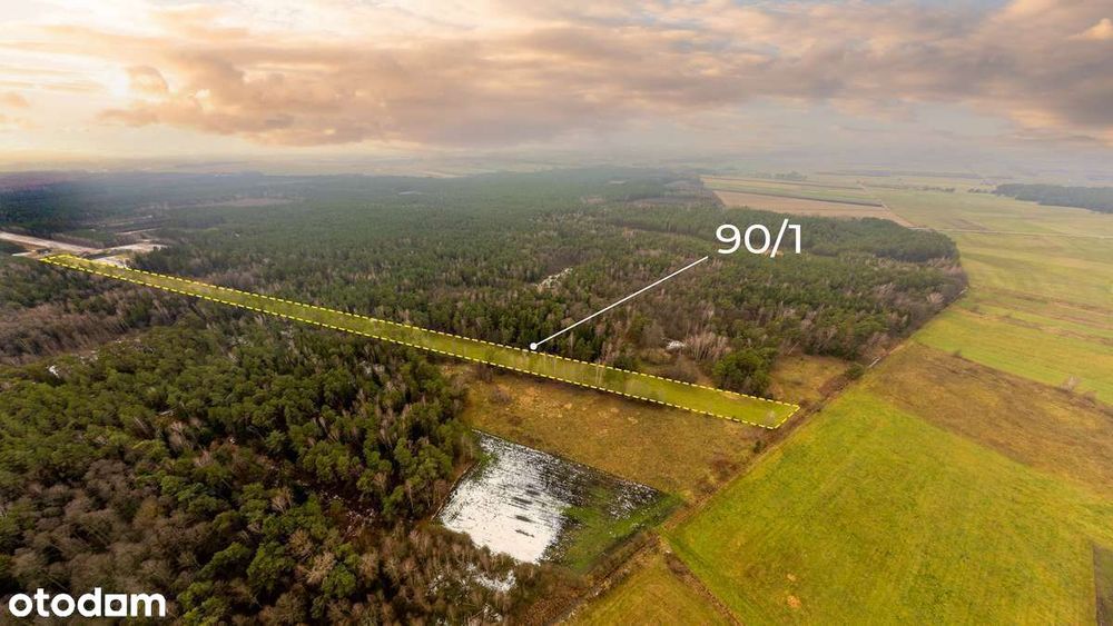 Zadbane siedlisko z charakterem tradycyjnego, podlaskiego gospodarstwa