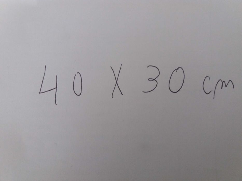 Pasta / mala de transporte