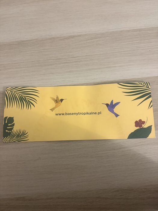 Bilet na baseny Binkowski kielce