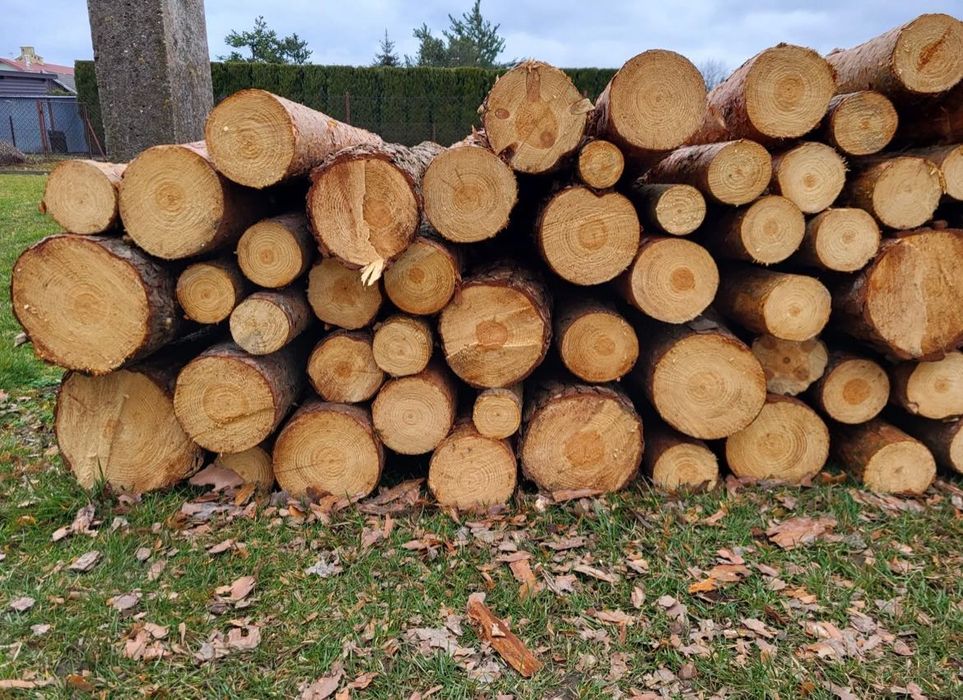 Drewno kominkowe/Opałowe każdy rodzaj