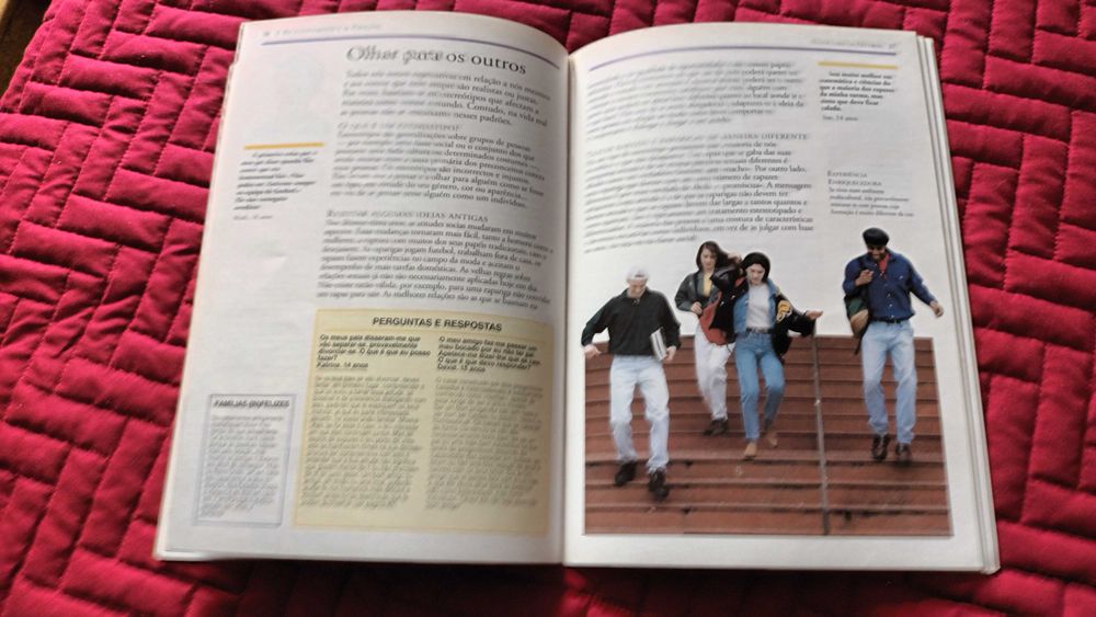 Livro - Adolescentes e o sexo