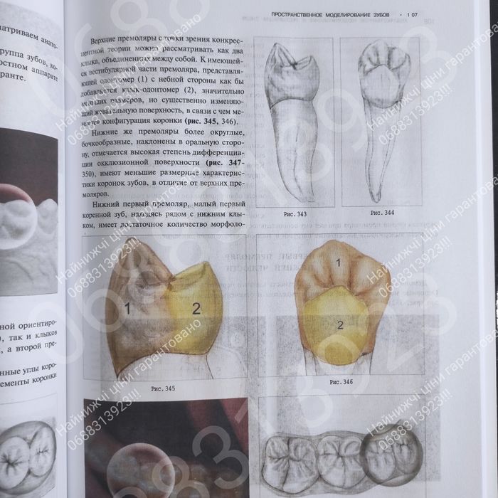 Встигни замовити!! Художественное моделирование .Стоматологія книга