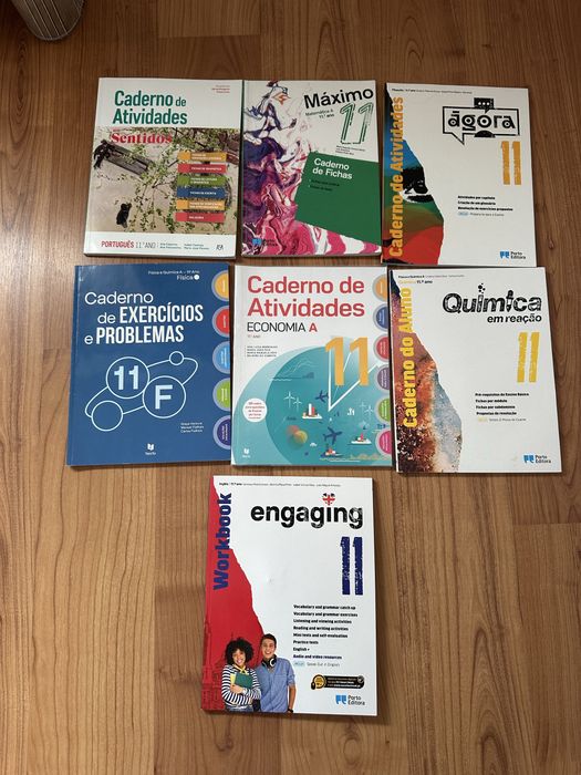 Livro fichas 11 ano