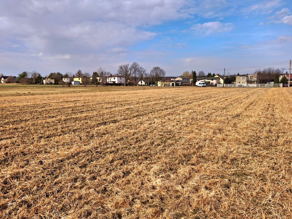 Działka Tychy Wilkowyje - Widok 4