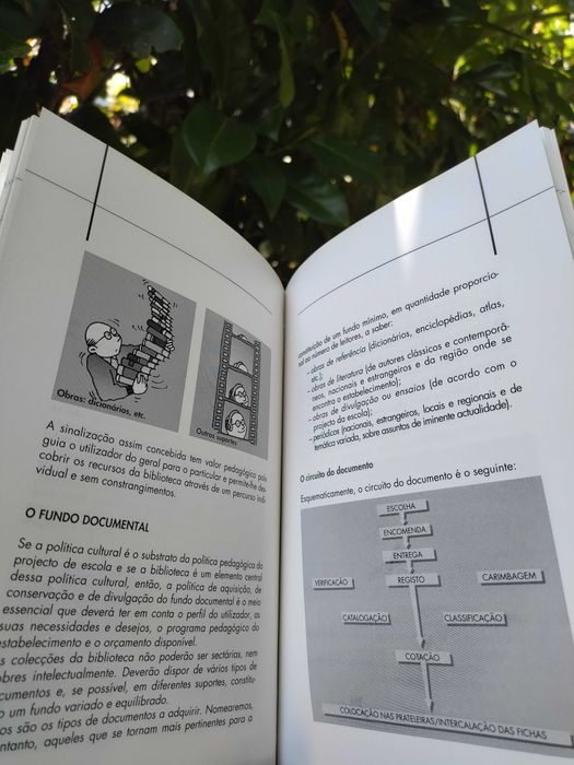 A construção do projecto de escola (Adalberto Dias de Carvalho)