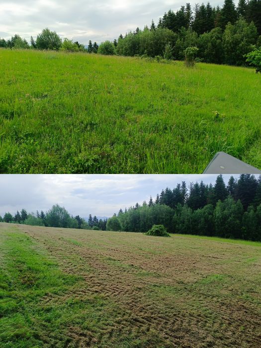 Kosiarka bijakowa koszenie, mulczowanie, mulcher łąki poplon trawa