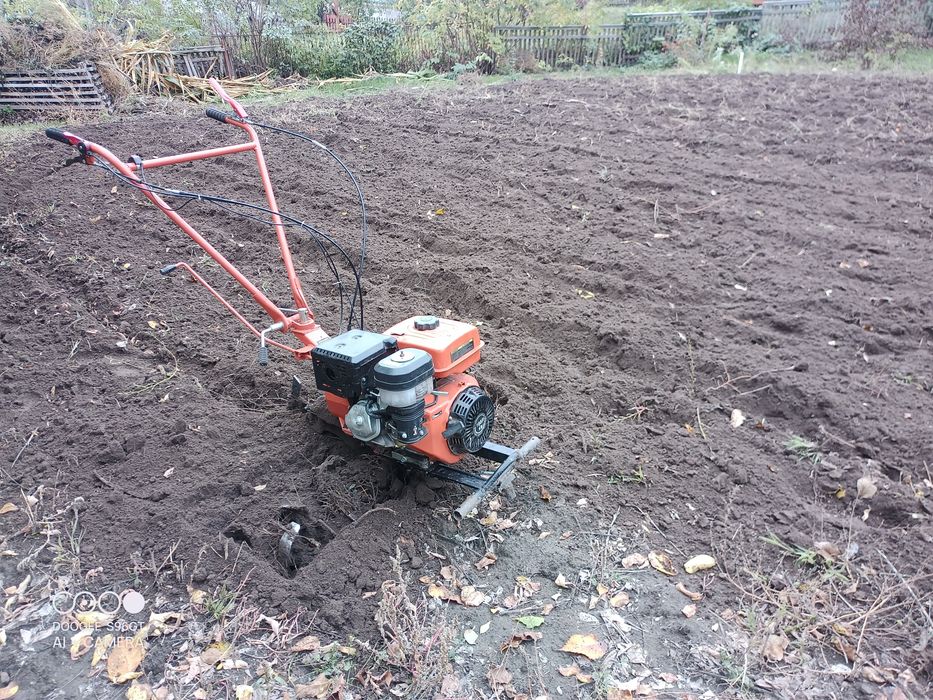 Зрізка аварійних дерев