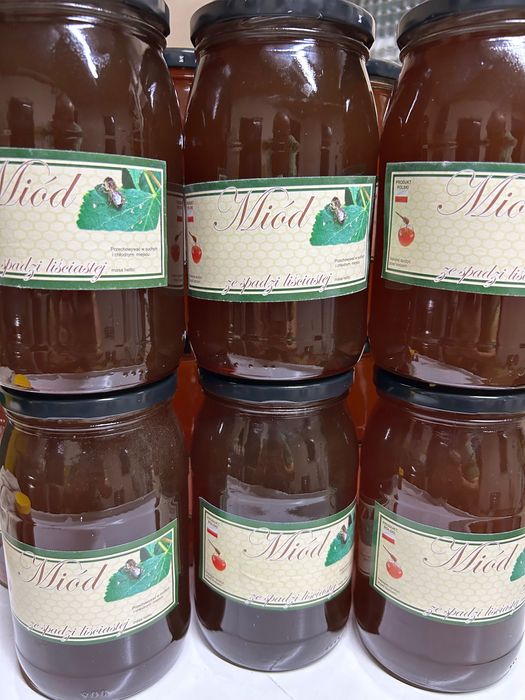 Miód spadziowy - spadź lisciasta