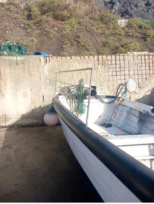 Barco de pesca profissional