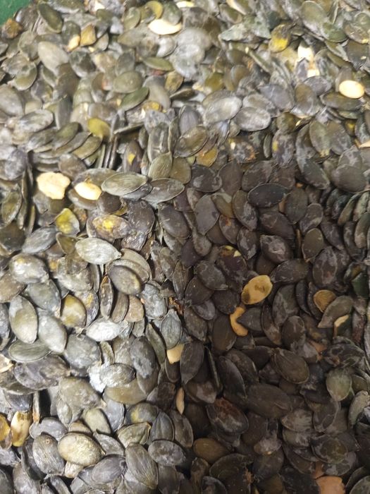 Гарбузове насіння