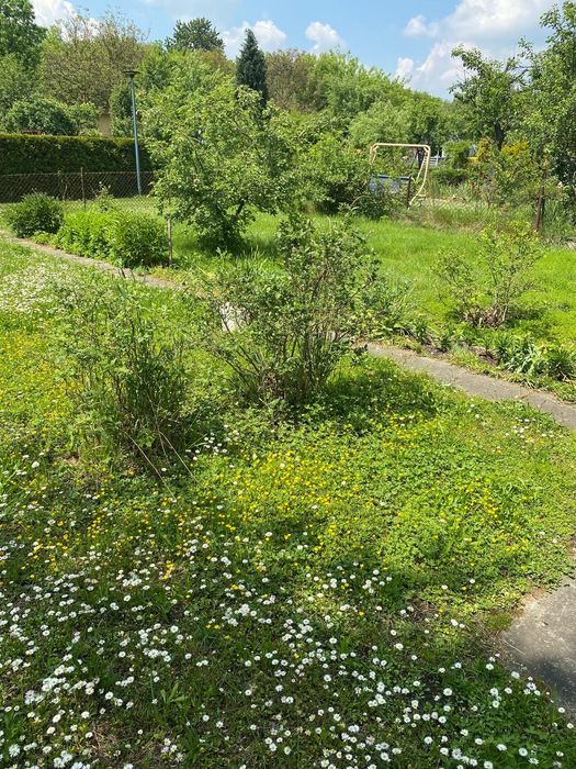 Ogródek działkowy nr 5  Sosnowiec Milowice - Ansicht 4