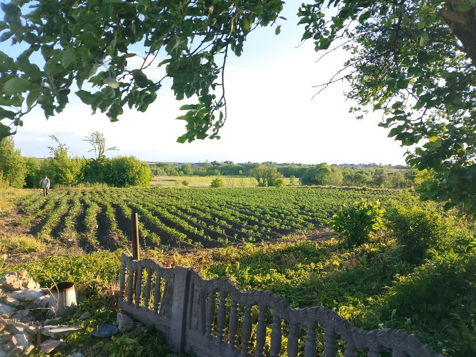 Продам будинок в селі Киселів Заставницький (Кіцманський) район