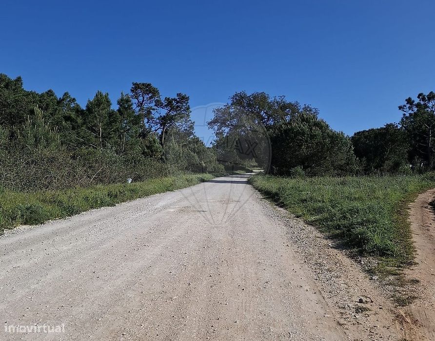 Terreno  para venda