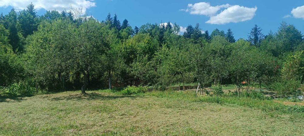 Продам! Земельну ділянку біля лісу в с.Рибне