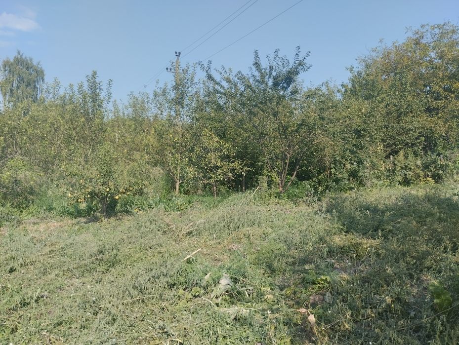 Продам будинок, садибу.