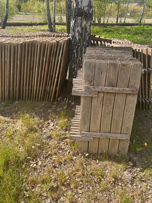 Paśniki dla ślimaków