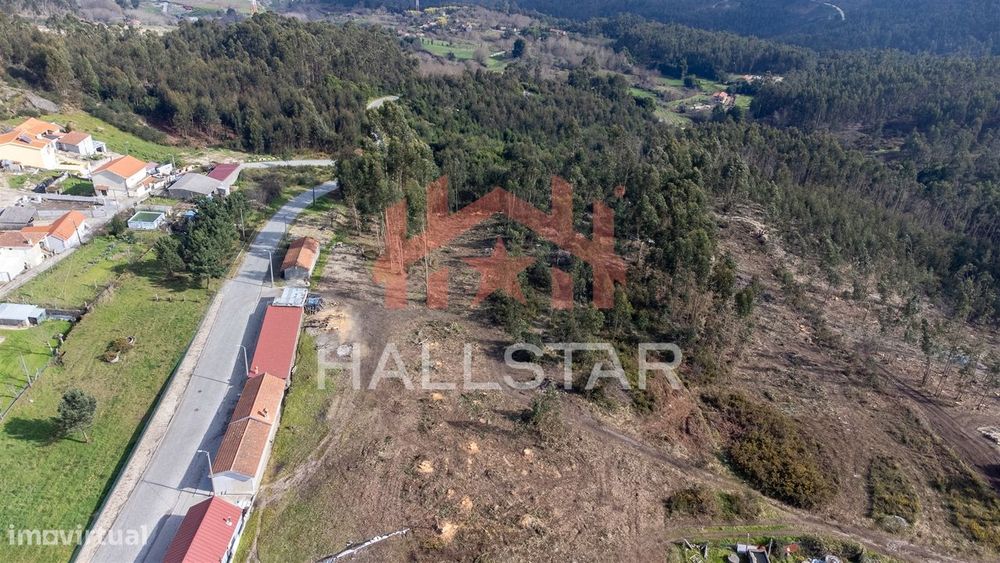 Terreno Florestal / Área Total 2.500m2 / Penafiel — Croca, Porto