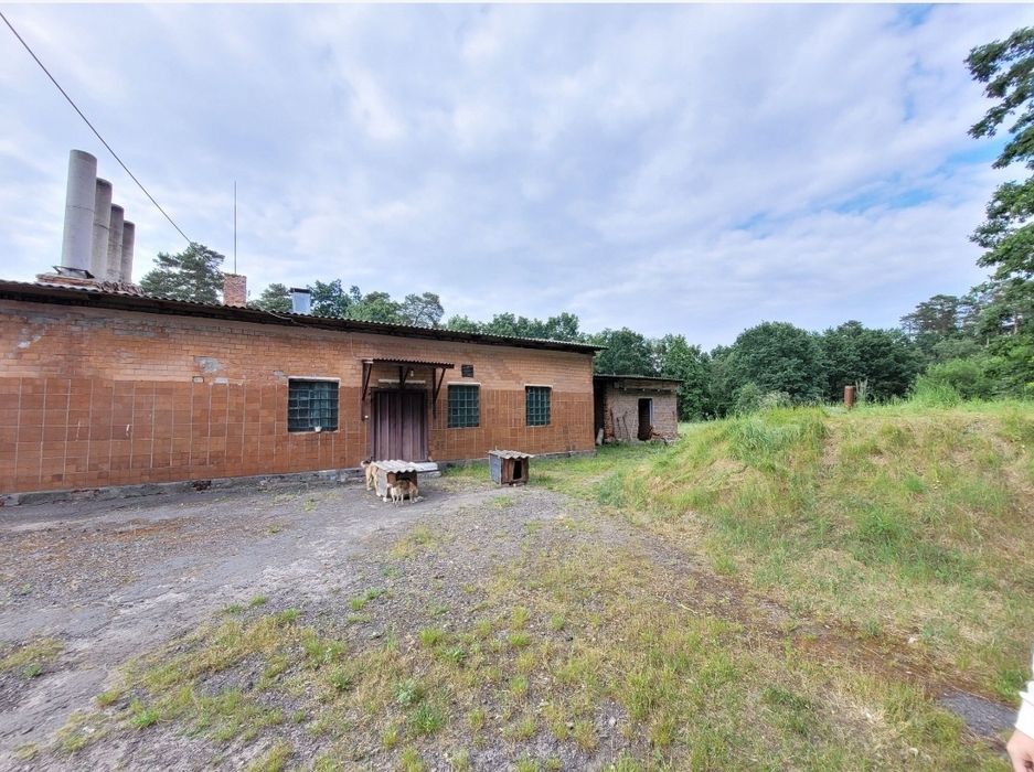 Продам! Виробничу базу,(ковбасний цех) 58сот, 530м2!