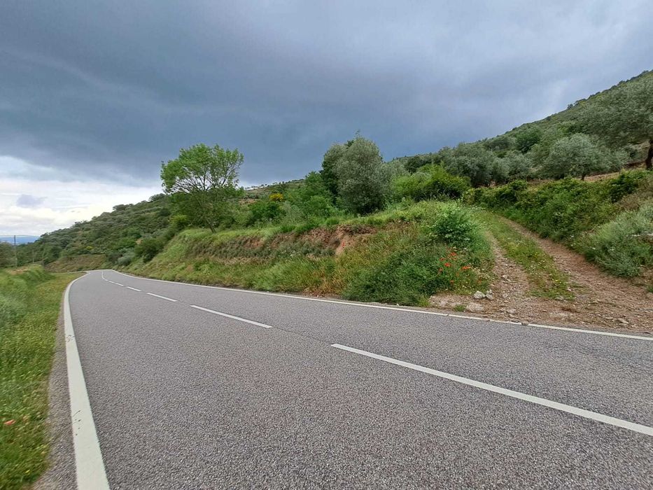 Venda de terreno com 2 600 m2 em Babe - Bragança
