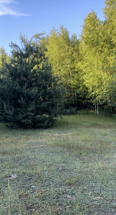 Działka budowlana Śmiechowice, gmina Lubsza - Widok 2