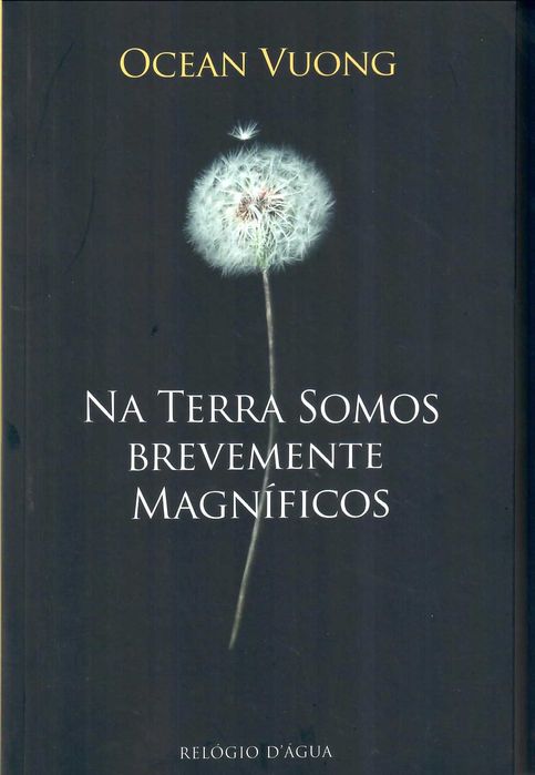 OCEAN VUONG «Na Terra Somos Brevemente Magníficos»