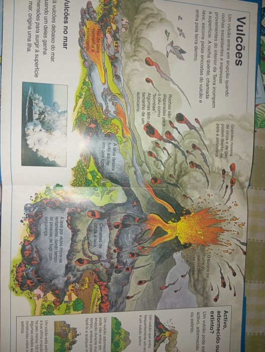 A minha primeira enciclopédia do mundo