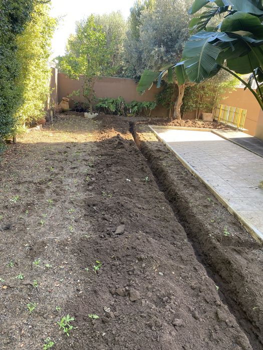 Serviço de jardinagem, limpeza de terrenos, poda de arvores