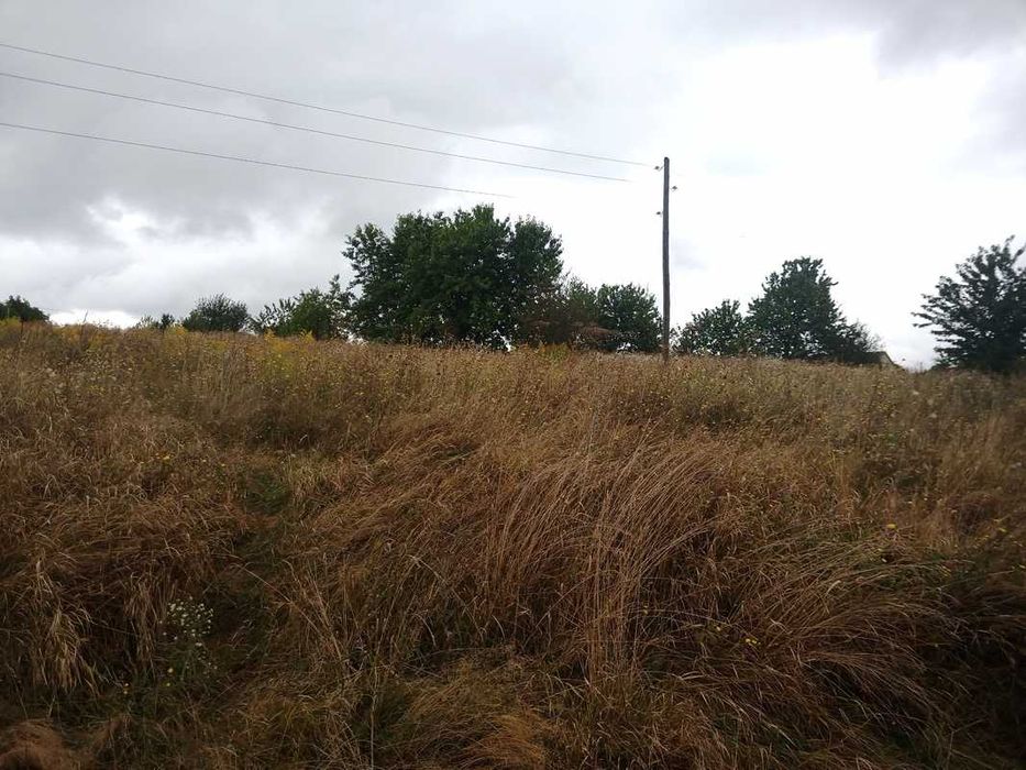 Продаж земельної ділянки в селі Лука-Мелешківська