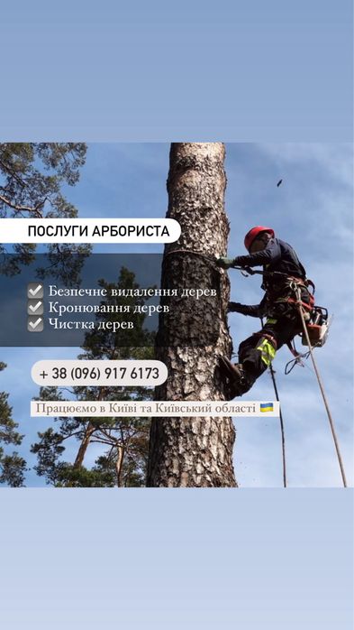 Безопасный спил, удаление, кронировка, чистка деревьев, участка, крыши