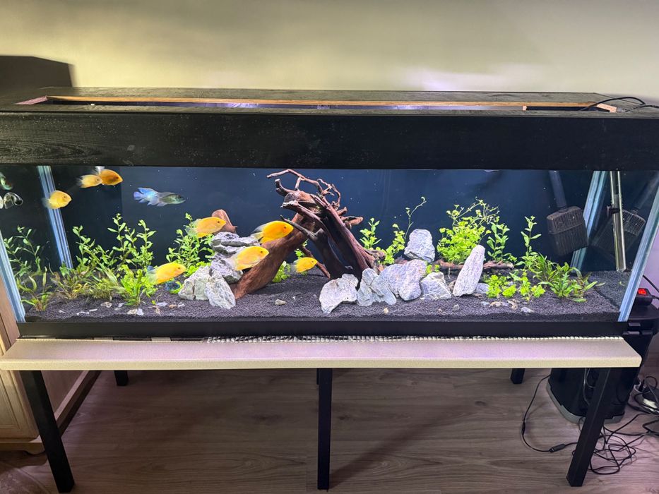 Sprzedam akwarium 340 litrów