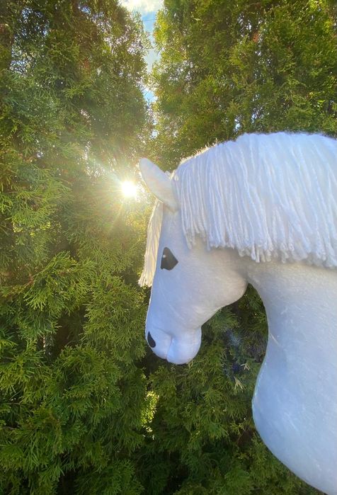 Aktualne ujeżdżeniowy biały hobby horse A3