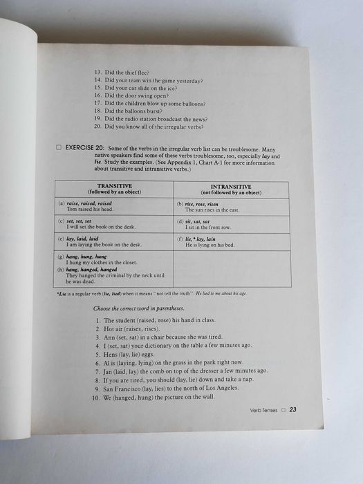 Understanding and Using English Grammar