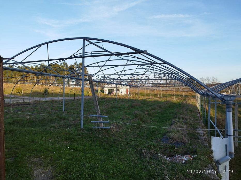 Estufa agricola usada