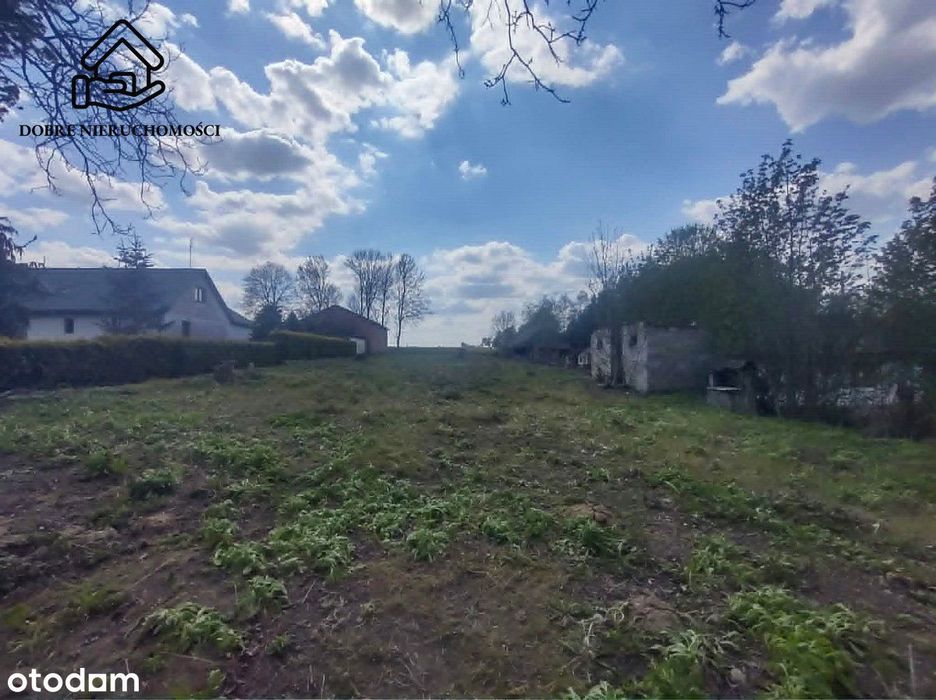 Wojciechów - 2800 m2